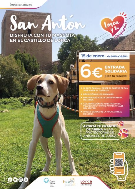 La concejalía de Turismo presenta la IX Ruta Canina al Castillo de Lorca con motivo de la celebración de la Festividad de San Antón - 1, Foto 1
