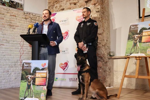 La concejalía de Turismo presenta la IX Ruta Canina al Castillo de Lorca con motivo de la celebración de la Festividad de San Antón - 3, Foto 3