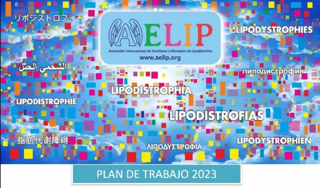AELIP ya trabaja en la elaboración de su plan de trabajo para este 2023 - 1, Foto 1