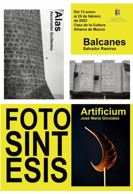 Ascensin Guillermo, Salvador Ramrez y Jos M Gonzlez se unen en la exposicin Foto-sntesis, Foto 1