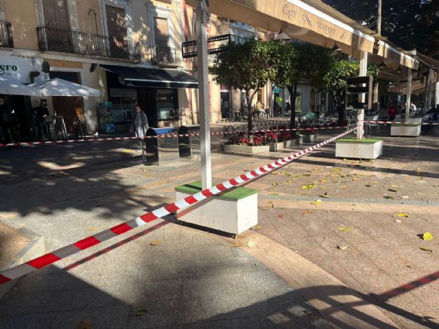 Balizan por seguridad un sector del ficus de La Glorieta - 1, Foto 1