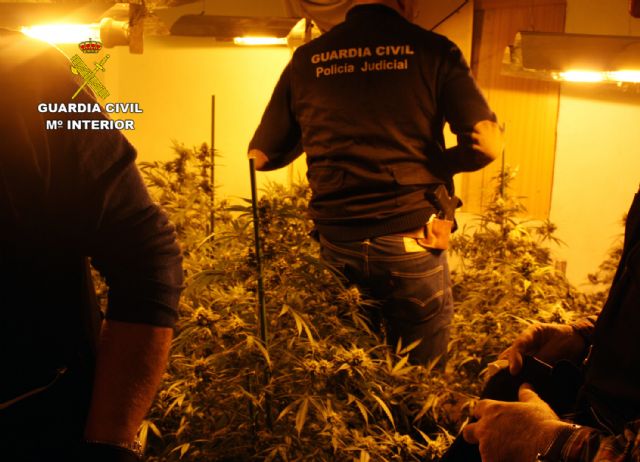 La Guardia Civil desmantela una vivienda dedicada al tráfico de droga y detiene a su propietaria por delito de robo con violencia e intimidación - 1, Foto 1