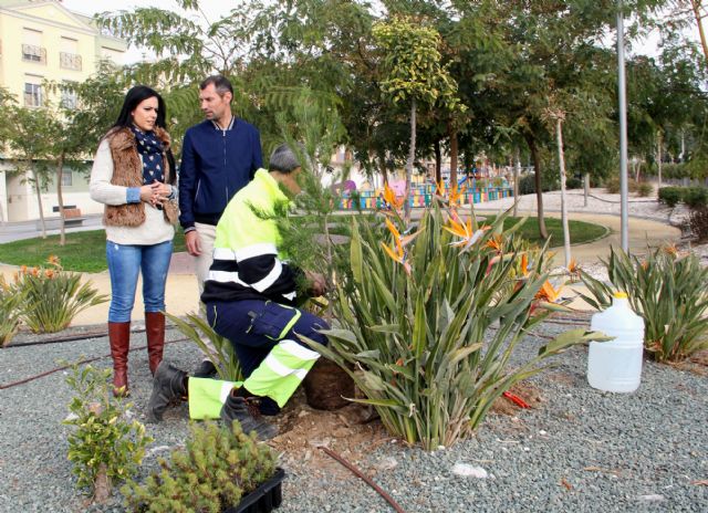 El Ayuntamiento de Puerto Lumbreras plantará cerca de 700 árboles y plantas forestales en parques y jardines del municipio - 1, Foto 1