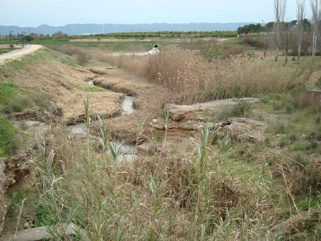 Cambiemos Murcia pide vigilancia para el azud de la Contraparada - 2, Foto 2