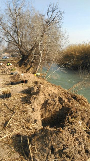 La CHS instala ocho carteles divulgativos para concienciar sobre el valor del bosque de ribera - 2, Foto 2