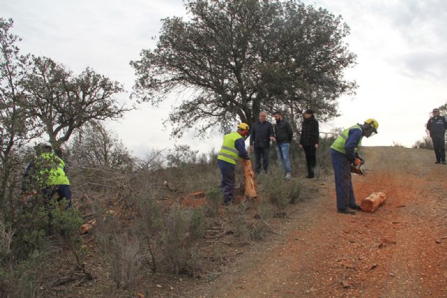Puerto Lumbreras pone en marcha una campaña de prevención y tratamiento contra la 'procesionaria' y el 'tomicus' en el entorno natural Cabezo de la Jara - 1, Foto 1