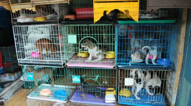 GARM considera que la iniciativa del partido Ciudadanos es insuficiente y genera un vacío legal - 1, Foto 1