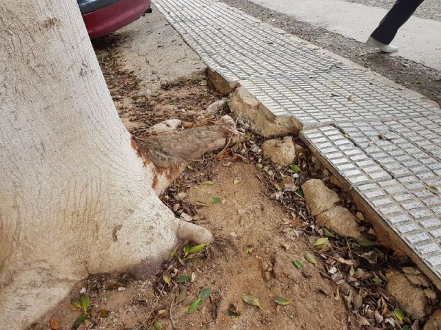 MC: El abandono de la Urbanización Mediterráneo, otro ejemplo más de la dejadez del Gobierno en barrios y diputaciones - 4, Foto 4