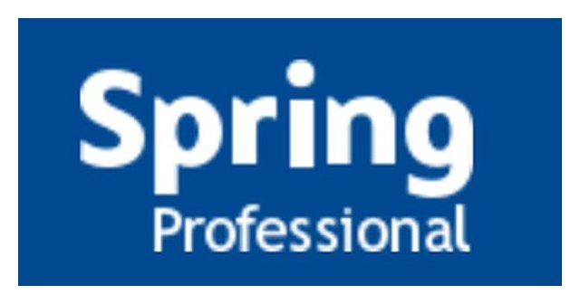 Spring Professional oferta más de 500 empleos para mandos intermedios, medios y directivos - 1, Foto 1