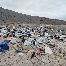 El Ayuntamiento logra que la Confederación Hidrográfica del Segura y varios propietarios procedan a la limpieza de terrenos en Lorca - 1, Foto 1