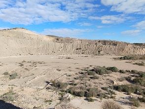 El Ayuntamiento logra que la Confederación Hidrográfica del Segura y varios propietarios procedan a la limpieza de terrenos en Lorca - 2, Foto 2