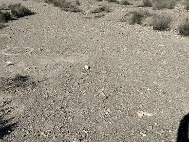 El Ayuntamiento logra que la Confederación Hidrográfica del Segura y varios propietarios procedan a la limpieza de terrenos en Lorca - 4, Foto 4