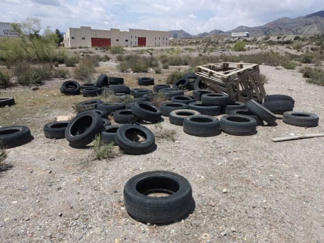 El Ayuntamiento logra que la Confederación Hidrográfica del Segura y varios propietarios procedan a la limpieza de terrenos en Lorca - 5, Foto 5