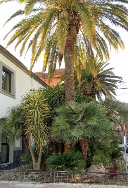Cehegín impulsará el nombramiento del ´Jardín Coro Ciudad de Cehegín´ - 1, Foto 1