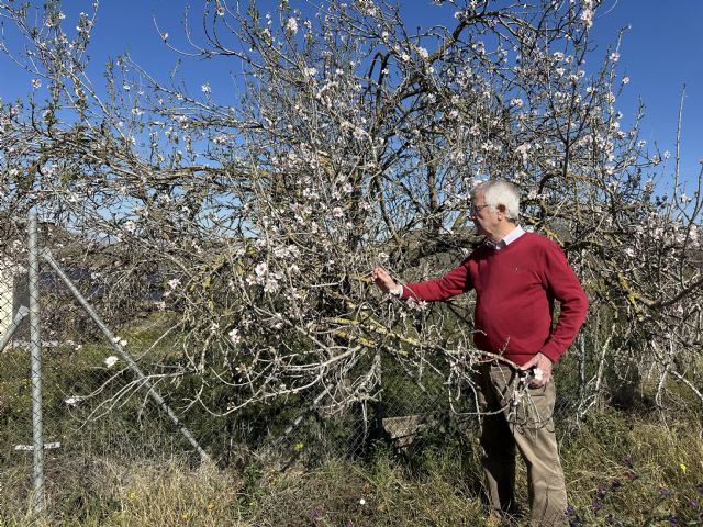 MC demanda impulsar la feria de la floración de la zona oeste de Cartagena - 1, Foto 1