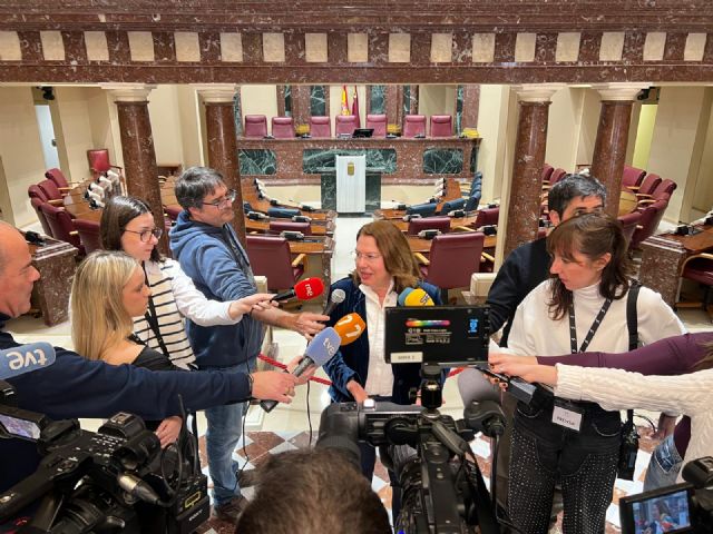 Las Sesiones Plenarias de la Asamblea Regional vuelven mañana al Hemiciclo reformado - 3, Foto 3