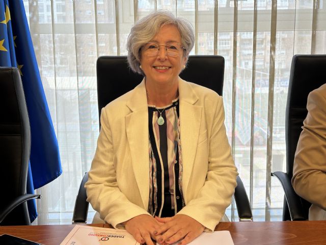 Thader Consumo comparece en la Asamblea Regional para explicar la situación del pequeño comercio en la Región de Murcia - 1, Foto 1