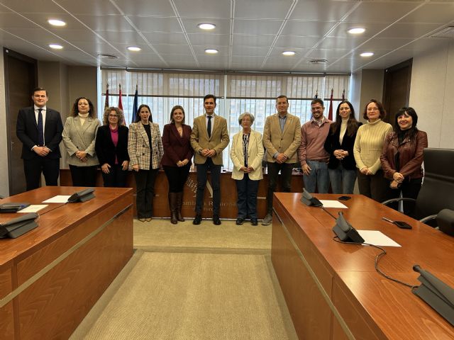 Thader Consumo comparece en la Asamblea Regional para explicar la situación del pequeño comercio en la Región de Murcia - 2, Foto 2