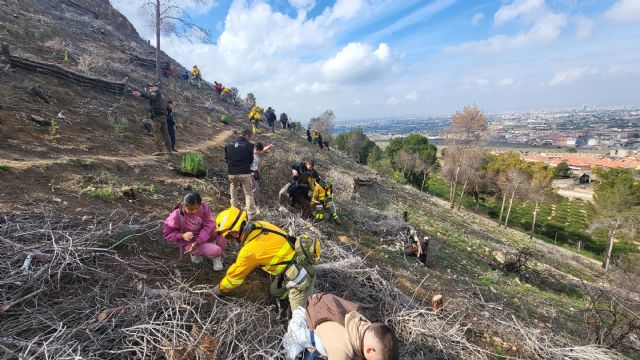 El Gobierno regional impulsa la restauración ambiental en San José de la Montaña tras el incendio forestal del pasado mes de mayo - 1, Foto 1