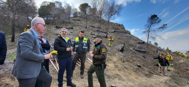 El Gobierno regional impulsa la restauración ambiental en San José de la Montaña tras el incendio forestal del pasado mes de mayo - 2, Foto 2