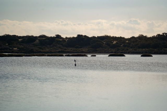 Humedales, ¡qué lugares! - 1, Foto 1