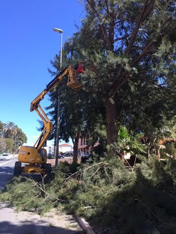 Acondicionan calles y espacios verdes de cara a la Semana Santa, Foto 5