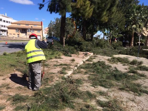 Acondicionan calles y espacios verdes de cara a la Semana Santa, Foto 6