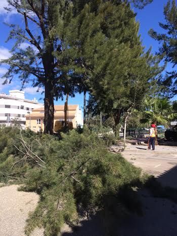 Acondicionan calles y espacios verdes de cara a la Semana Santa, Foto 7
