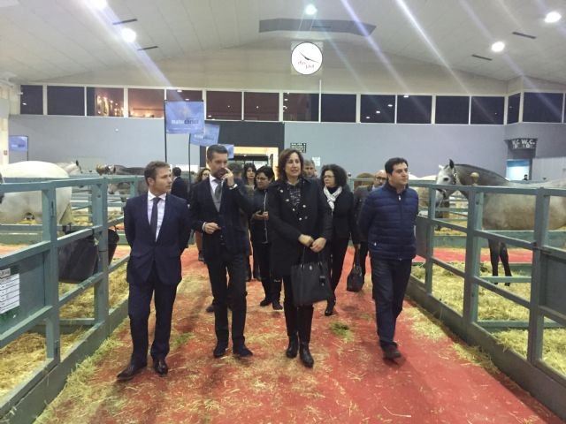 Equimur contará con más de 200 caballos y el Concurso Morfológico de Pura Raza Española - 1, Foto 1