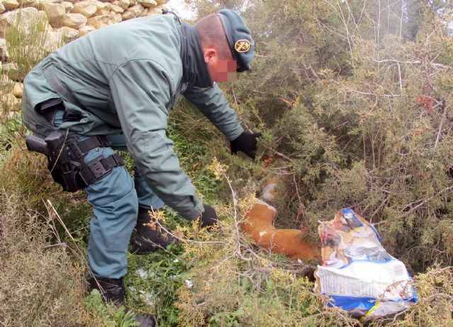 La Guardia Civil investiga a dos personas por el sacrificio violento de dos perros de caza - 2, Foto 2