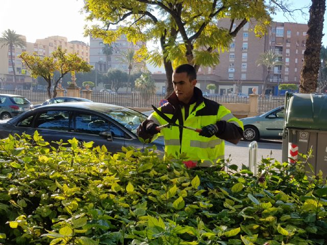 Más de una decena de jóvenes con discapacidad intelectual se integran en los equipos de trabajo de los parques de Murcia y pedanías - 2, Foto 2