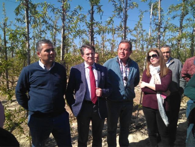 Cano: La apertura de los pozos de sequía, supone un riego de socorro para el campo murciano de 80 hm3 - 1, Foto 1