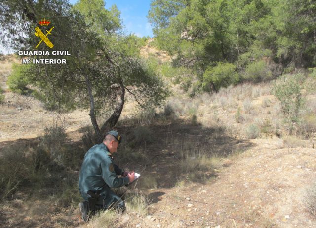 La Guardia Civil investiga a tres cazadores por disparar a un perro en Caravaca de la Cruz - 1, Foto 1