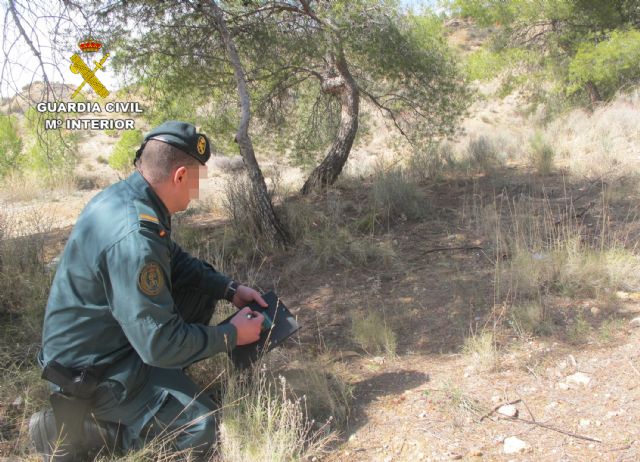 La Guardia Civil investiga a tres cazadores por disparar a un perro en Caravaca de la Cruz - 2, Foto 2