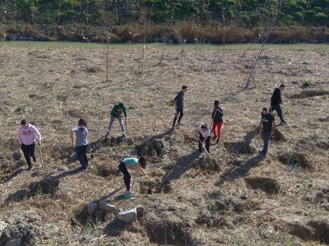 Los alumnos del instituto realizaron una plantación de arboles a orillas del Segura - 1, Foto 1