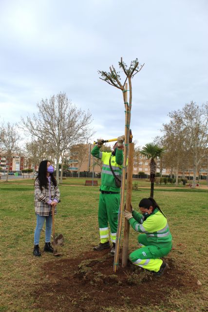 Jacaranda, un símbolo vivo para celebrar la igualdad - 1, Foto 1