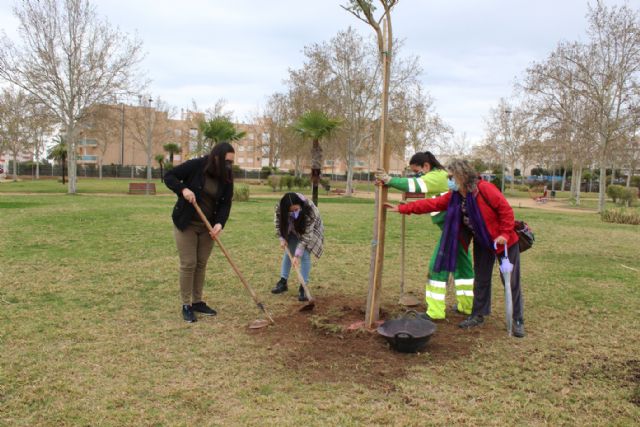 Jacaranda, un símbolo vivo para celebrar la igualdad - 2, Foto 2