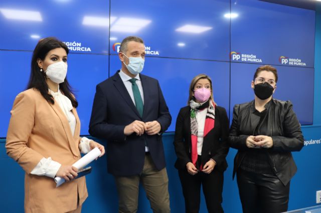 Segado: Vamos a conseguir tejer una Ley de Mecenazgo que nos va a colocar a la vanguardia en España en esa cultura de los mecenas - 1, Foto 1