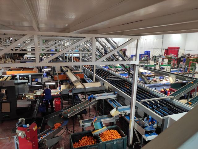 Intercitrus refuerza en Sevilla su unidad y capacidad de acción para exigir a la UE reciprocidad a las importaciones - 2, Foto 2