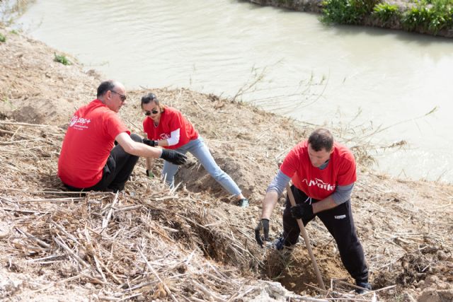 Se inicia la segunda fase del programa de agua con la plantación de otros 2.000 árboles en Las Torres de Cotillas - 1, Foto 1