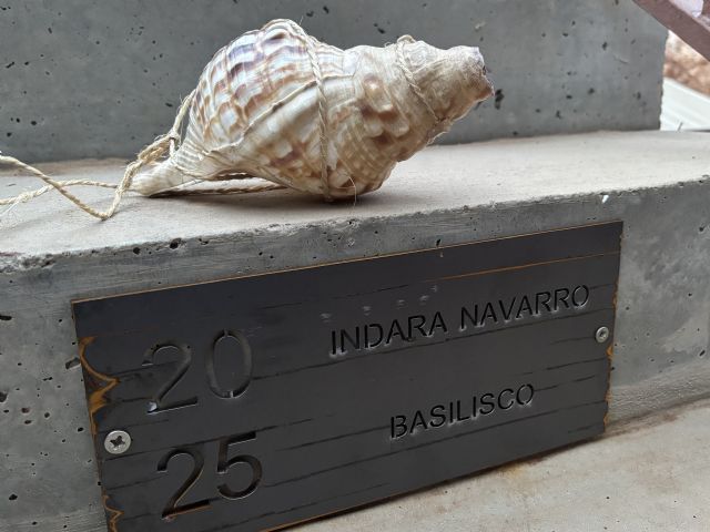 Julia Parra e Indara Navarro tienen ya su peldaño en el Pasaje de las Mussonas - 3, Foto 3