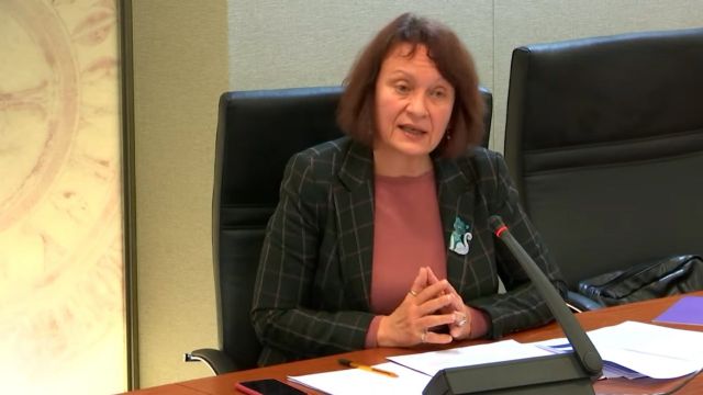 María Marín denuncia las trabas del PP y los responsables del SMS a la investigación sobre las derivaciones irregulares a la sanidad privada - 1, Foto 1