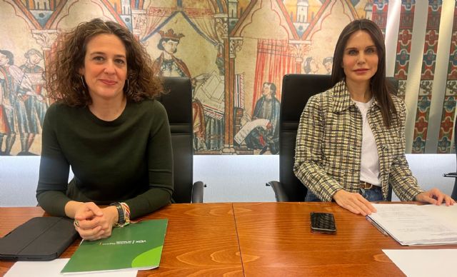 VOX reclama una gestión eficiente y el cumplimiento estricto de la ley en la derivación de servicios sanitarios a la sanidad privada - 1, Foto 1