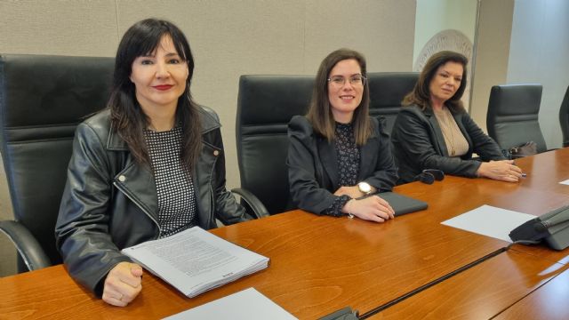 Marisol Sánchez: Las comparecencias en la Asamblea dejan en evidencia las derivaciones del SMS a la sanidad privada al margen de la ley - 1, Foto 1