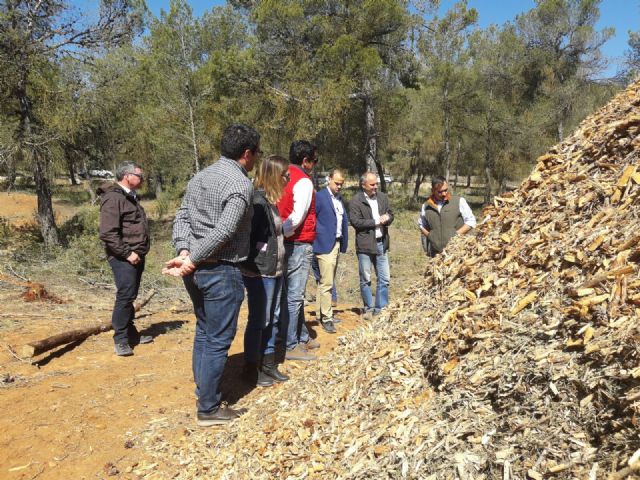 Iniciada la primera fase del Plan Especial para la biomasa - 3, Foto 3