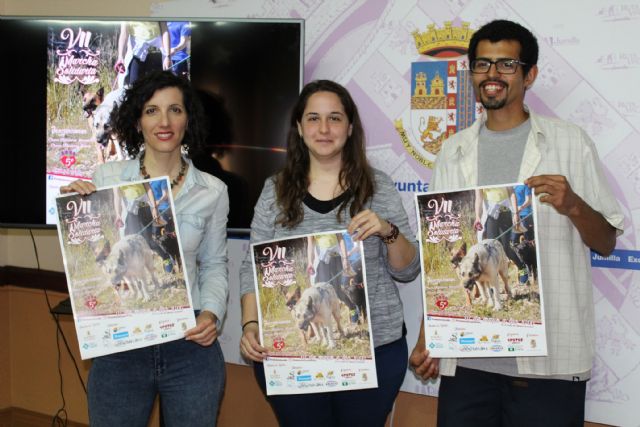 La Marcha Solidaria de 4 Patas volverá a recaudar fondos para los animales del Albergue - 1, Foto 1