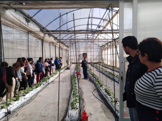 El IES Juan Sebastián el Cano realiza la ruta verde en Torre Pacheco - 3, Foto 3