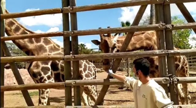 Terra Natura abre sus puertas a través de las redes sociales - 1, Foto 1
