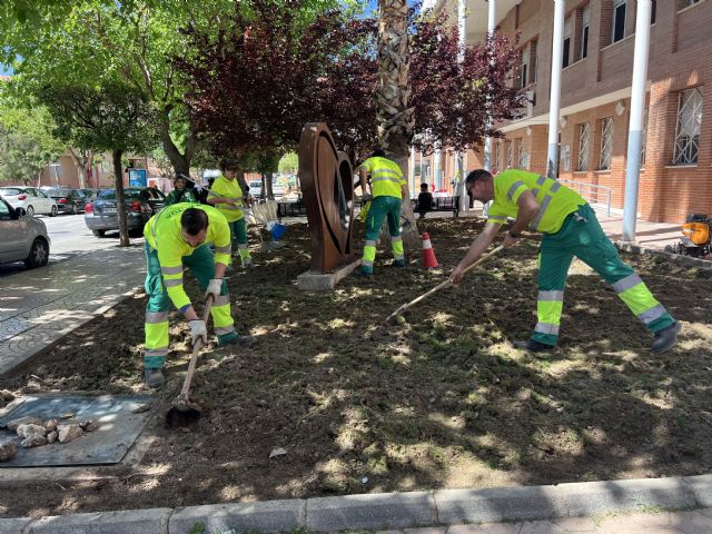 Jardines y Medio Ambiente está realizando labores de resiembra en varias zonas verdes de Jumilla - 1, Foto 1