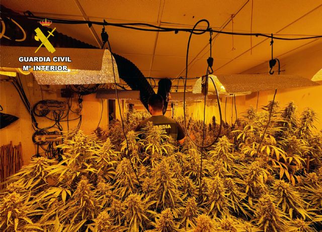 La Guardia Civil detiene a una pareja en Archena por cultivo ilícito de marihuana - 1, Foto 1